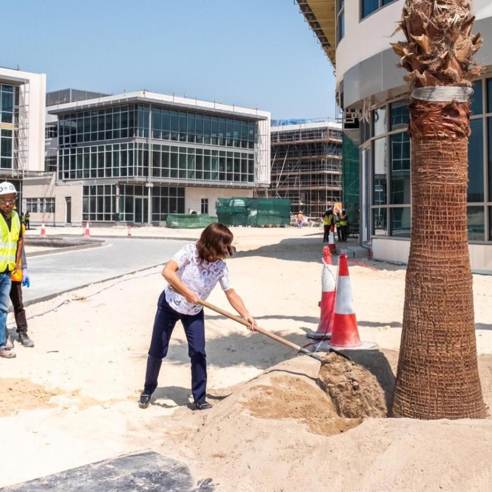AUBH President Plants First Palm Tree on Campus